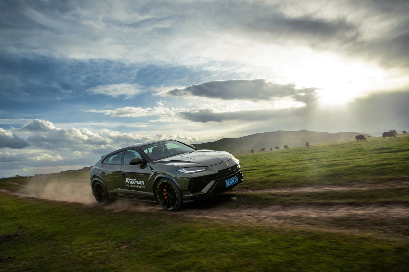 Lamborghini Urus SE on the grasslands during Avventura
